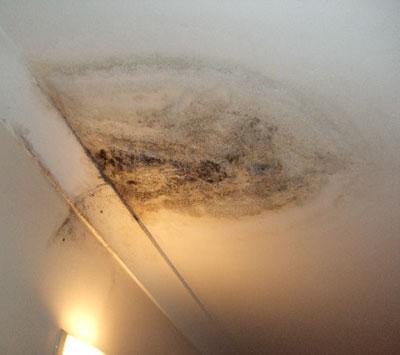 Example of penetrating damp.