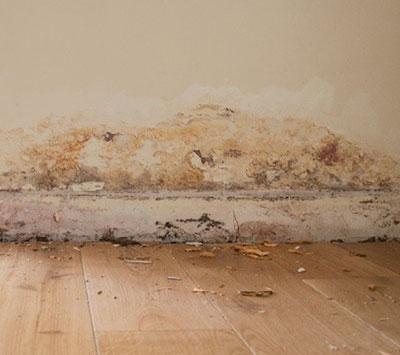 Example of rising damp.