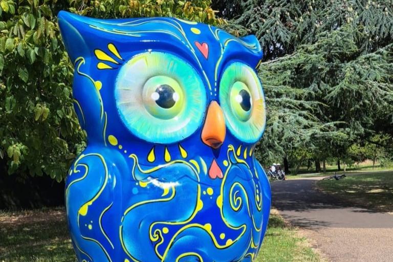 Flow Owl in Finsbury Park Cropped Pic 1.