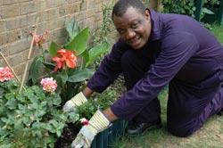 Tidying a garden